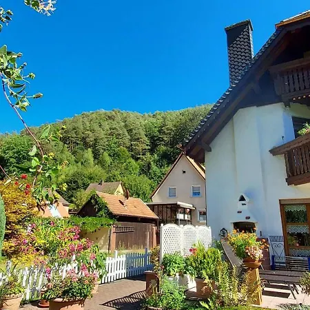 Apartment Haus Am Eibach Erfweiler